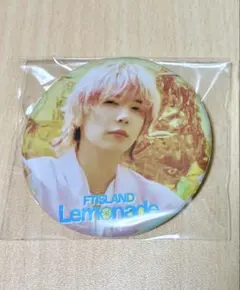 FTISLAND Lemonade ホンギ　缶バッジ　トレカ