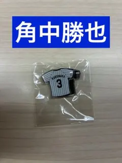 【新品】千葉ロッテマリーンズ　角中勝也　ユニホーム型ミニマグネット