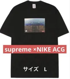 2025年最新】nike acg supremeの人気アイテム - メルカリ