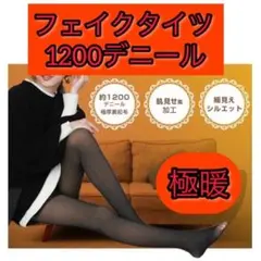 SELE新品 フェイクタイツ 極暖 裏起毛 防寒 黒 透け感 あったか 冷え性