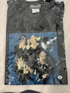 ミッシェルガンエレファント Tシャツ Lサイズ ギアブルース TMGE