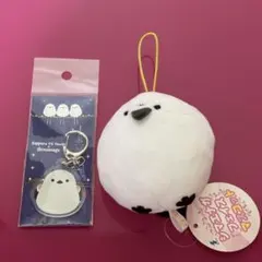 Item thumbnail for item f6ba6051-a66b-4b57-b747-20fcd4f6ca66