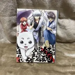 劇場版「銀魂完結篇 万事屋よ永遠なれ」 DVD