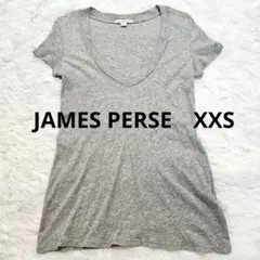 【JAMES PERSE】 美品 Vネック Tシャツ グレー サイズ0のサムネイル