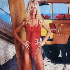 Baywatch 1995年 Pamela Anderson クッションカバー