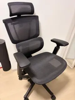 あ*き様 オカムラ コンテッサ ブラックポリッシュシルバー ハイバック 