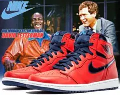 NIKE AIR JORDAN 1 David Letterman