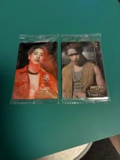 【BOTウェハースカード】THE RAMPAGEE：陣2種