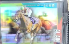 サラブレッドホースコレクション　アルアイン