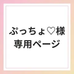 ぷっちょ♡様専用ページ
