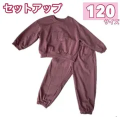 ロゴスウェット セットアップ トレーナーセットアップ 120サイズ
