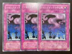 ポルンガ様 リクエスト 3点 まとめ商品