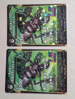 2026年最新】タイタンオオウスバカミキリの人気アイテム - メルカリ