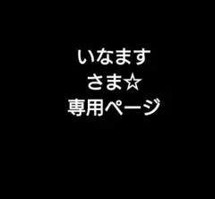 いなますさま☆専用ページです