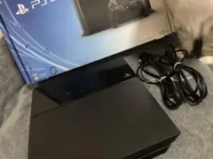 playstation4 本体
