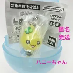 しずくちゃんめじるしアクセサリー2 ハニーちゃん