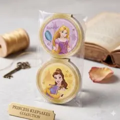 ディズニープリンセス メモ用紙 2個セット