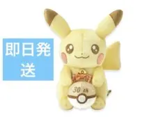 Pokmon ポケモン　30周年記念　限定　ぬいぐるみ ピカピカ！ピカチュウ