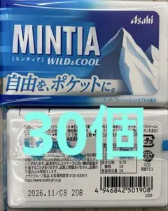 2026年最新】ミンティアミンティアワイルド＆クールの人気アイテム