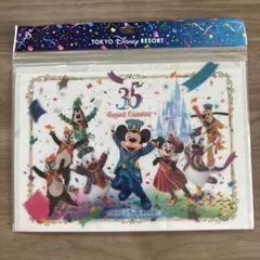 東京ディズニーリゾート 35周年 クリアファイル9枚セット ミッキー　実写 旧顔