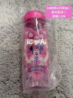 【ラスト1点！新品未使用】スーベニアボトル　ミニー　パルパルーザファンダーランド