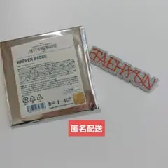 【匿名配送】TXT ワッペンバッジ テヒョン