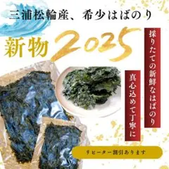 ちーくぱっち様専用《2025年新物ハバノリ》5枚入り