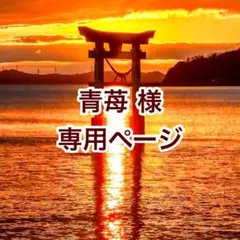 青苺様 リクエスト 4点 まとめ商品