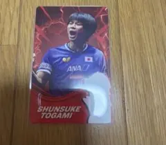 卓球 シンガポールスマッシュ プレイヤーカード トレカ 日本選手 平野