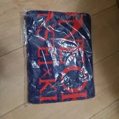 ONE OK ROCK ワンオクロック 2013