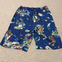 90sヴィンテージ Aardvark's セサミストリート 総柄ショーツ USA