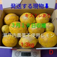 D ３月１８日収穫 新鮮！瀬戸内の農薬不使用レモン　キズスレあり