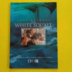 ●映画パンフレット【他と合わせて100円】白い嵐