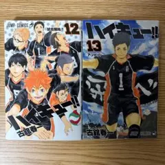 コミック　ハイキュー　12巻　13巻　２冊