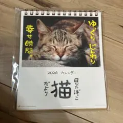 ひなったぼっこ　猫　カレンダー　2026　卓上　カレンダーのサムネイル