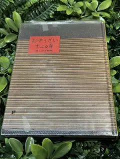 Sho Ikeda様 リクエスト 2点 まとめ商品