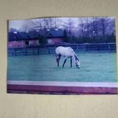 Item thumbnail for item 7760eeea-b472-429e-86a1-458a657c390b