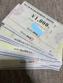 ビックカメラ　コジマ　株主優待券　30000円分
