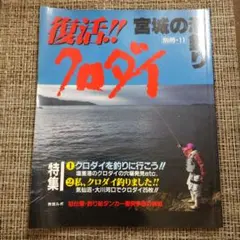 復活!! 宮城の海釣り 別冊11 クロダイのサムネイル