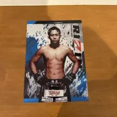 RIZIN クリアファイルコレクション 秋元強真 - メルカリ