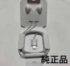 iPhone純正イヤホン　5