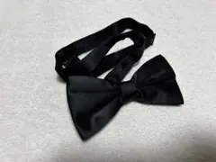 Item thumbnail for item db45d0fb-c96a-4db3-9ccf-323447a55b1f