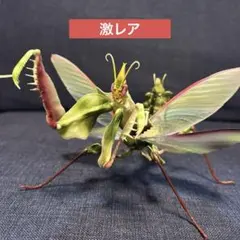 Item thumbnail for item 6a6808e7-39a7-4d25-b3bd-e701429664c9