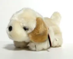 犬 ぬいぐるみ AQUA アニマル 動物 マスコット - メルカリ