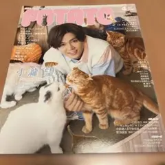 POTATO 2020年4月号