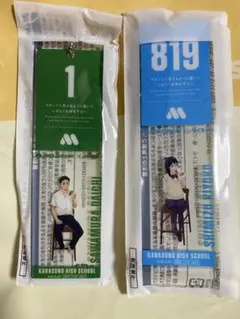 Item thumbnail for item 55288c0b-f381-4db5-8e7d-8e65c86d6627