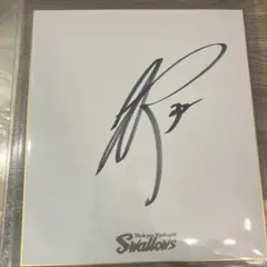 東京ヤクルトスワローズ 松本直樹選手直筆サイン　値下げ交渉可能