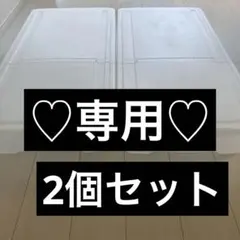 専用　ベット下出品ケース　美品
