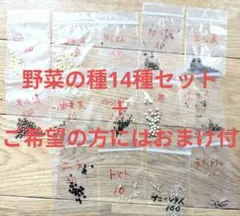 春にまく野菜の種 1,000円セット【2025年 春】 | Mercari