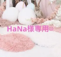 HaNa様専用ページ☺︎